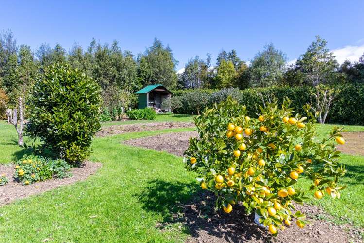 524 Top Grass Road Dannevirke_17