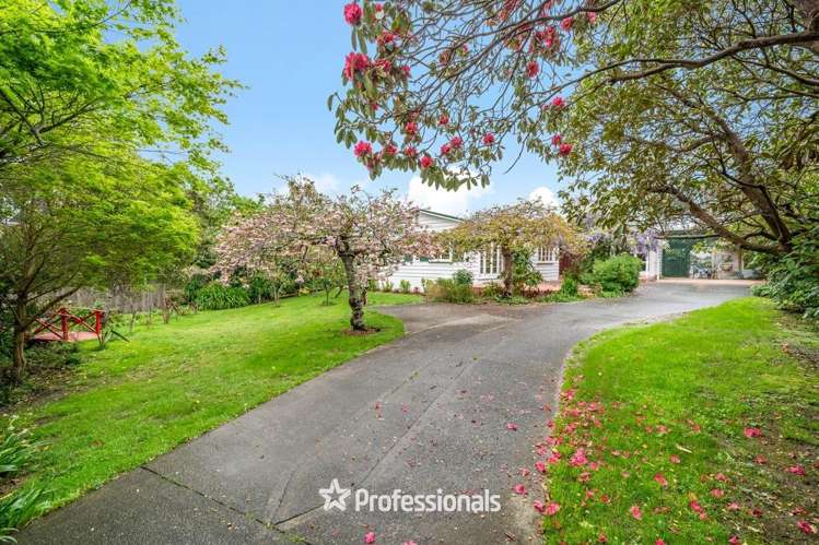 8 Willoughby Street Woburn_3