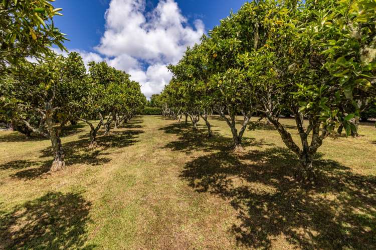 17 Poplar lane Kerikeri_10