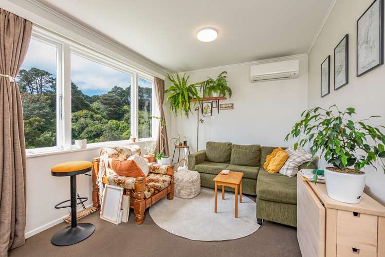 11 Mount Pleasant Road Aro Valley_3