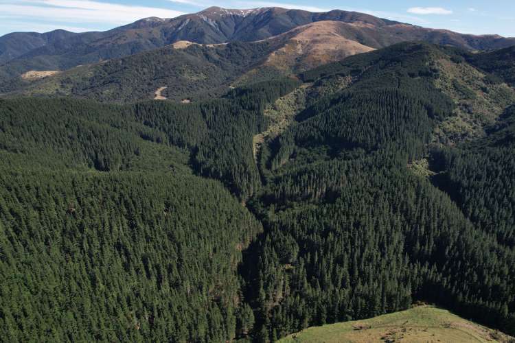 245 Sladdens Bush Road Oxford_8