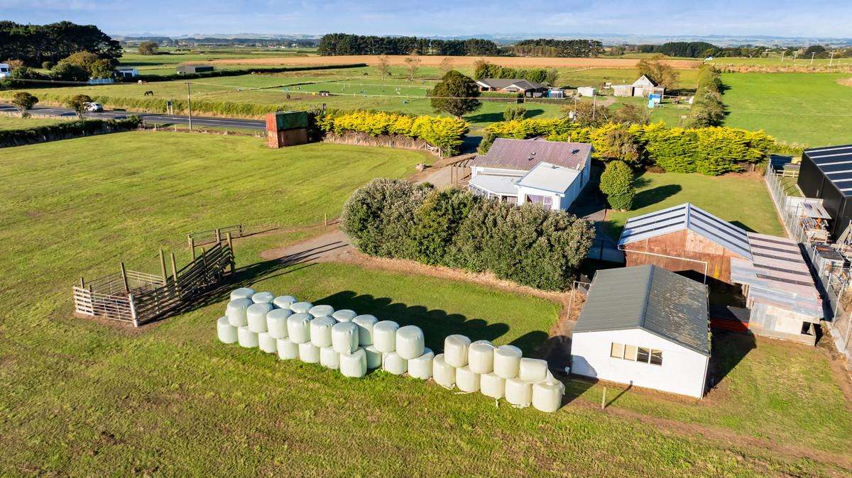 331 Waihi Road_1