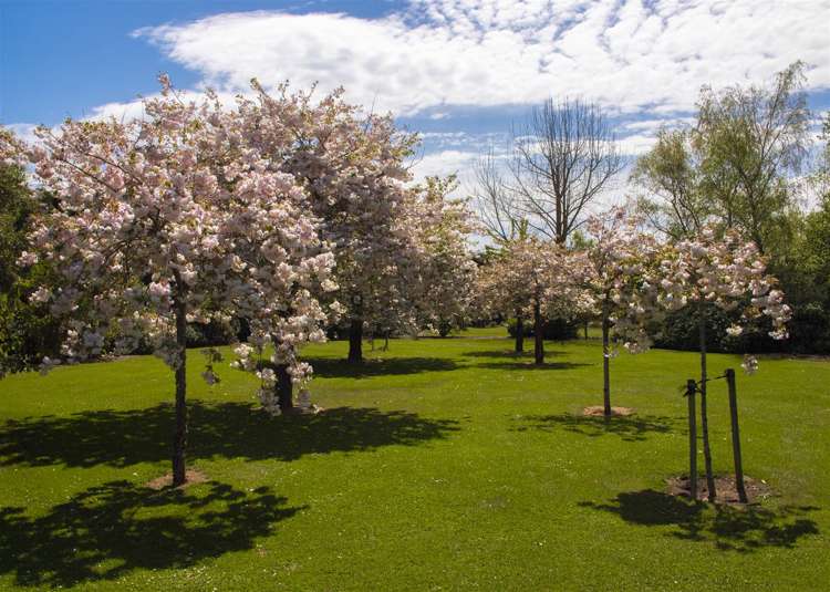 104 Winter Road Swannanoa_28