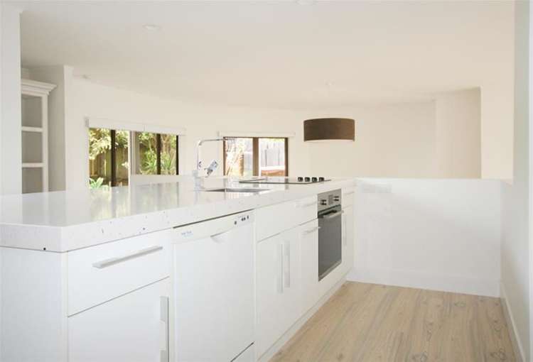 224 Onemana Drive Onemana_5