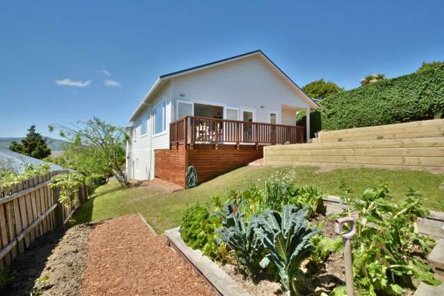 17 Falcon Street Kaikorai_1