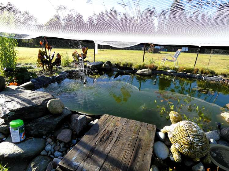 71 Alma Road Westport Surrounds_18