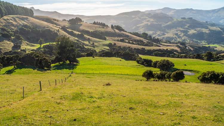 5162 Christchurch Akaroa Road French Farm_36