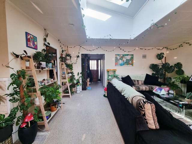 85a Peace Street Whakatane Surrounds_2