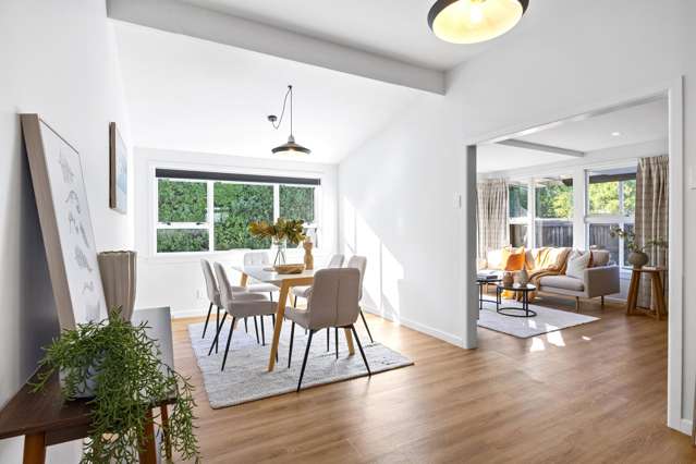 166 Lyttelton Street Spreydon_2