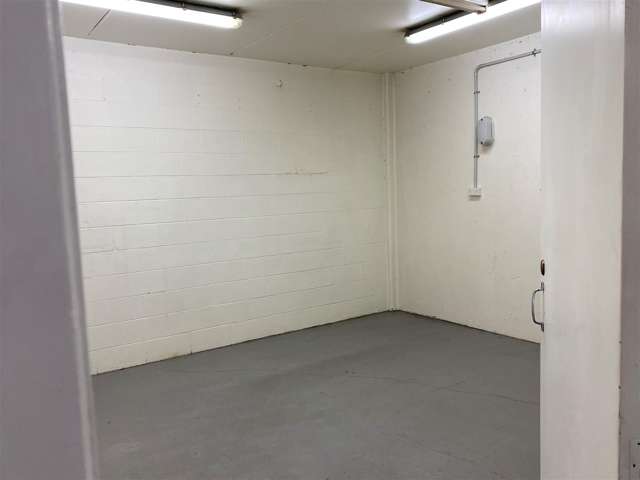 Basement, 6 Hill Street Hamilton Central_2