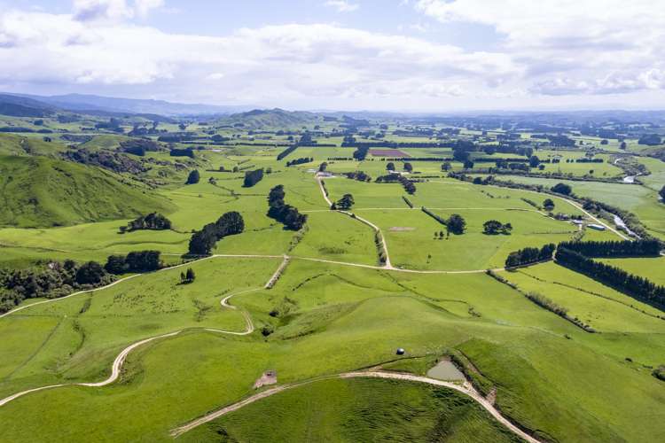 125 Larsen Road Eketahuna_21