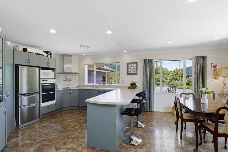 120 Homebush Road Glentunnel_6