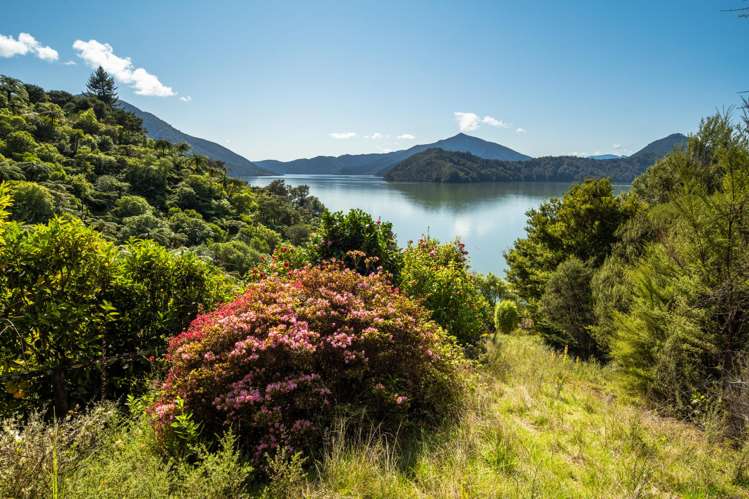 1 Black Point, Whatanihi Marlborough Sounds_20