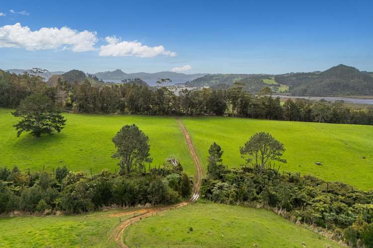 Lot 2/471 Purangi Road Cooks Beach_7