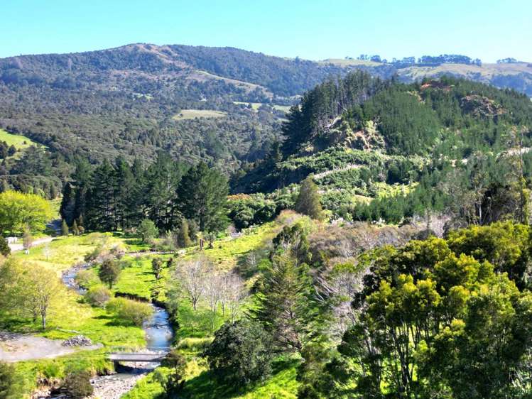 Wekaweka Road Waimamaku_10