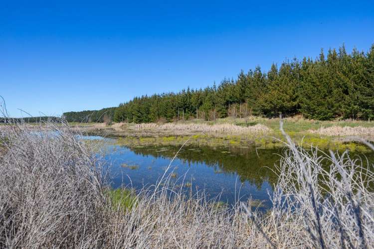 725 Raumai Road Bulls_17