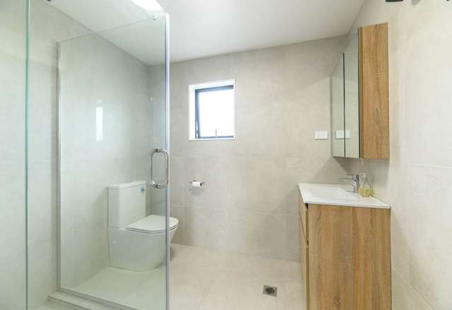 studio/65 Terry Street Blockhouse Bay_3