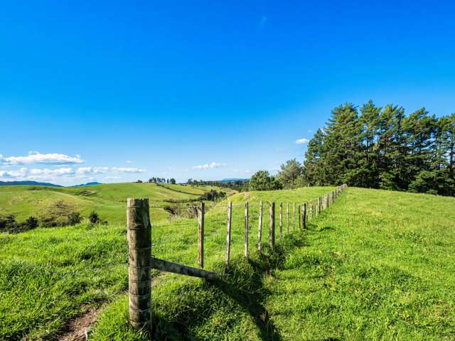 424A Hot Springs Road Katikati_4