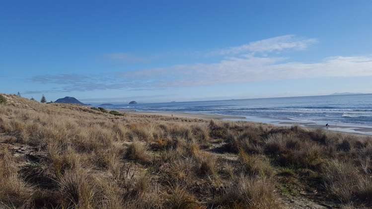 346 Oceanbeach Road Mount Maunganui_10