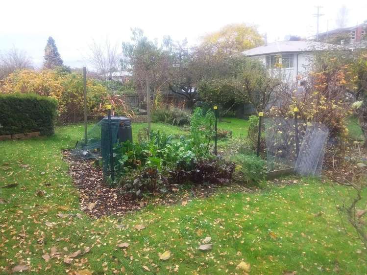17 Rimu Street Highfield_5