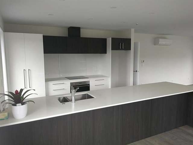 17 Muirhill Place Pokeno_4