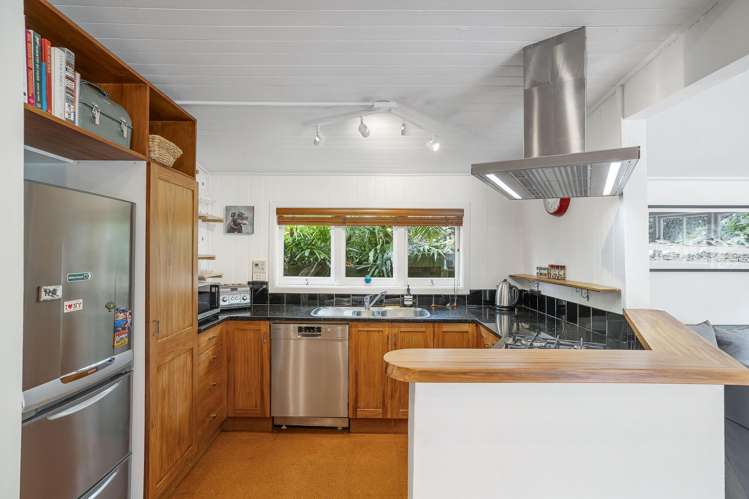 13 Potatau Street Grey Lynn_6