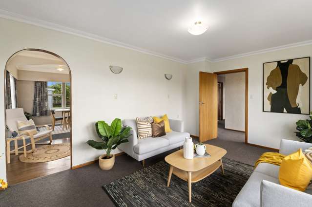 6 Ross Street Levin_1