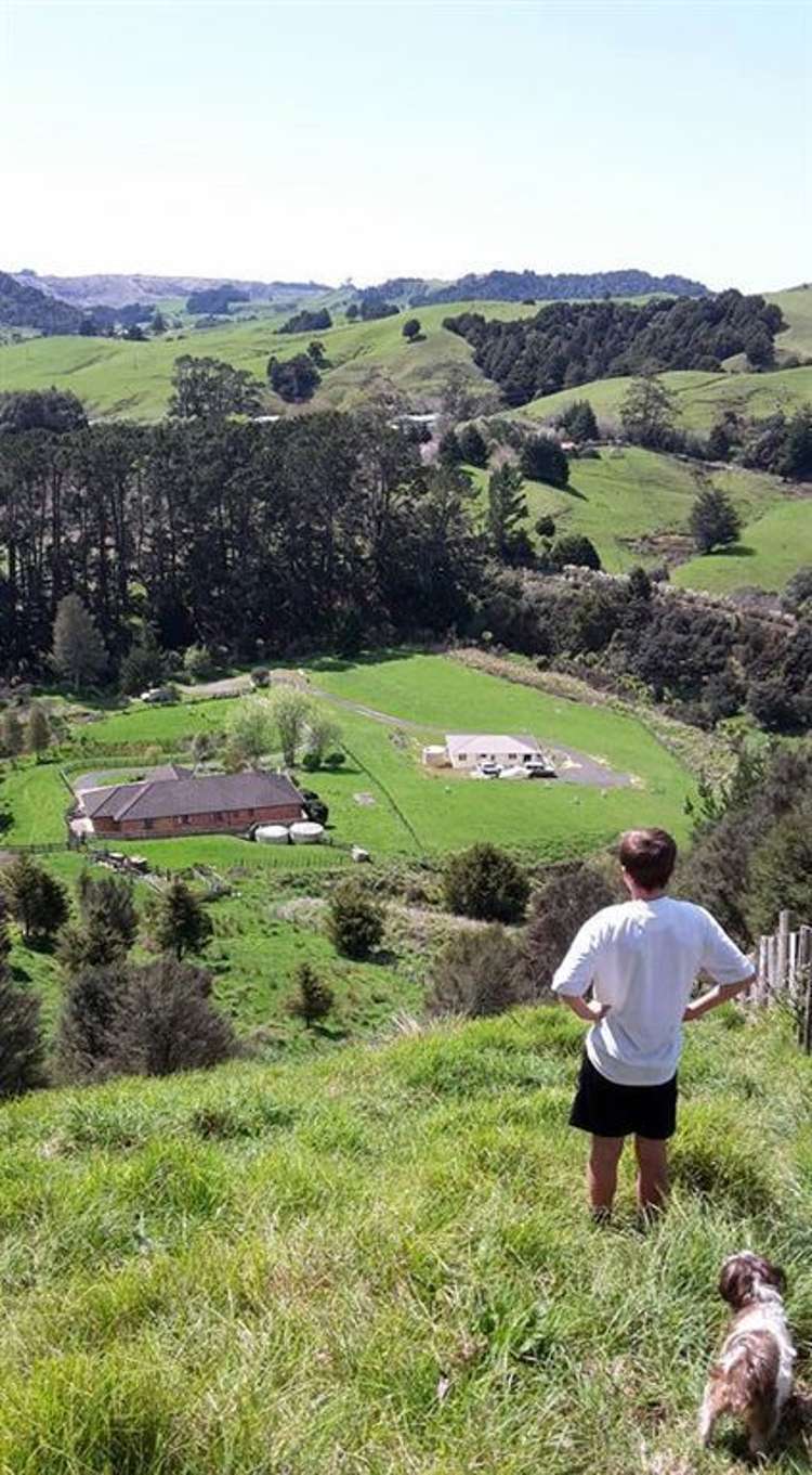 75a Mick Dillon Road Tahekeroa_18