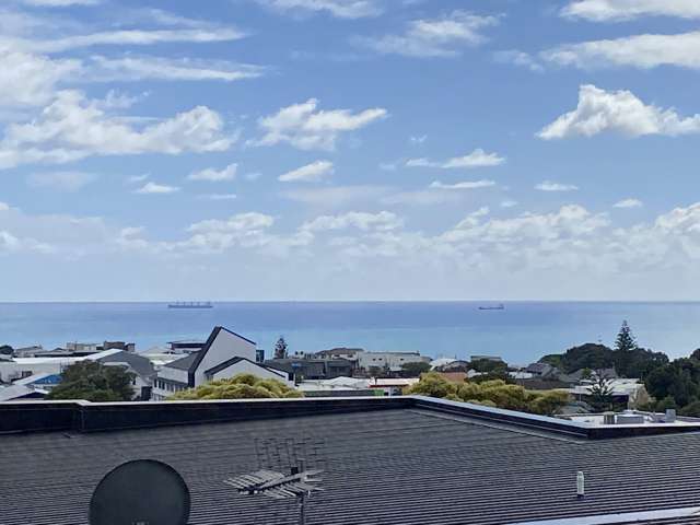 Niger Terrace New Plymouth City Surrounds_2