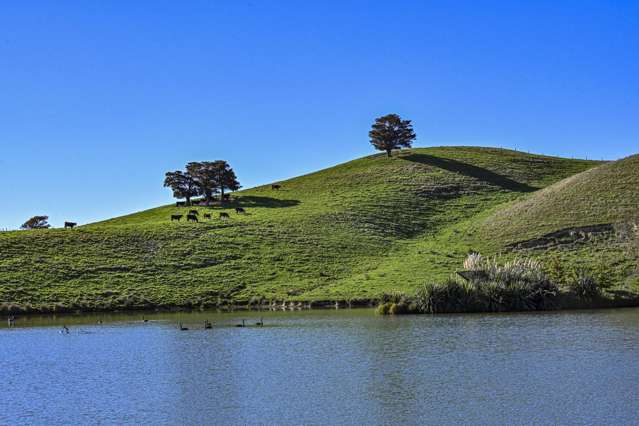 127 Bush Road Wallingford_3