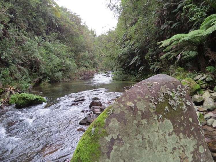 747a No 4 Road Te Puke_15