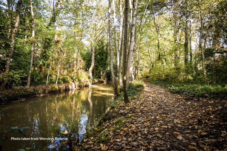 153 Cashmere Road Hoon Hay_22