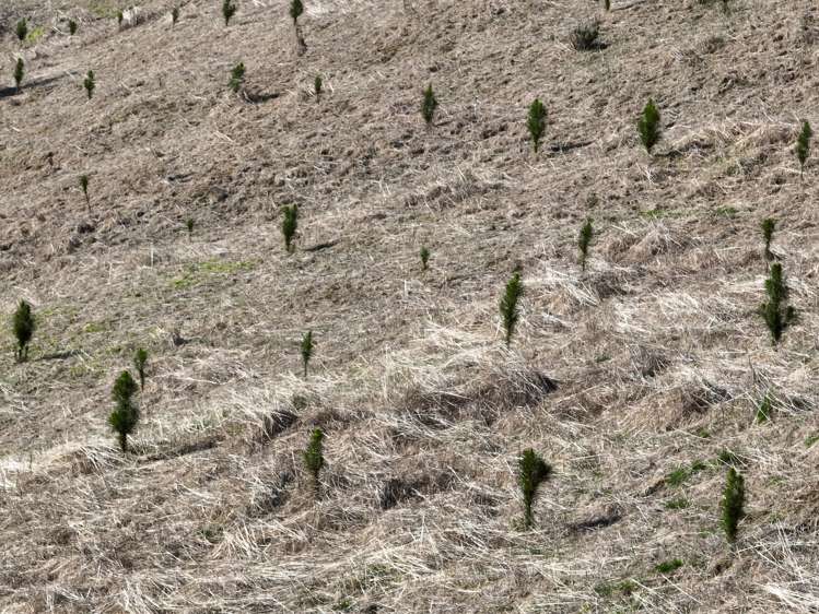 383 Lake Monowai Road Monowai_10