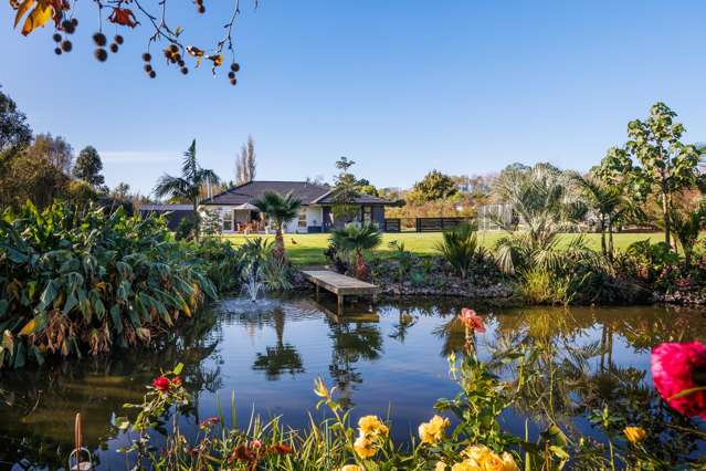 Your Own Tropical Oasis!