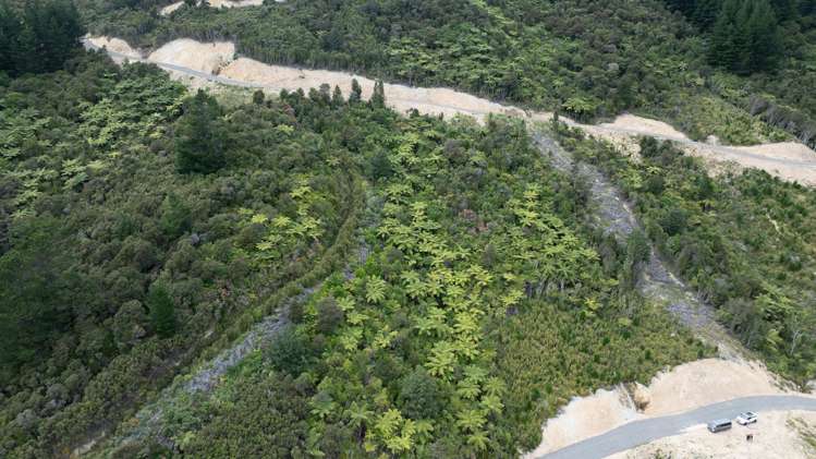7/9/11/12/13 Jane Mander Rise Blue Mountains_6