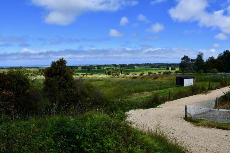 366 Oparara Loop Road Karamea_27