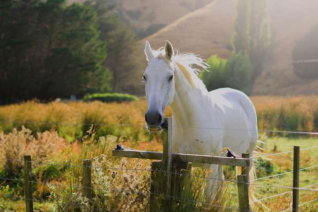 Lot 2/269 Grays Road Pauatahanui_2