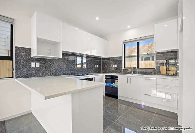 21a Franklin Avenue Papatoetoe_1