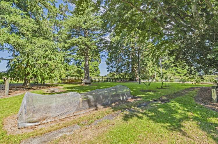 428 Kowai Road Springfield_21