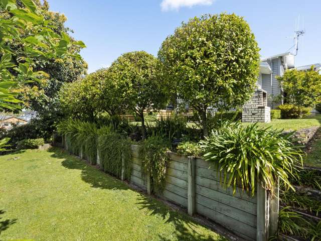 4 Dyer Street Whitiora_4