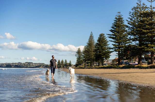 Future Investment in heart of Orewa