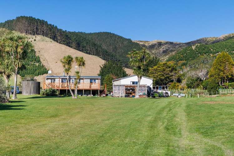 328 Millricks Line Linton_23