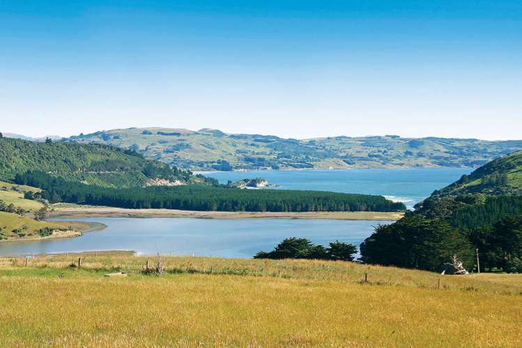 341 Purakaunui Road Purakaunui Inlet_19