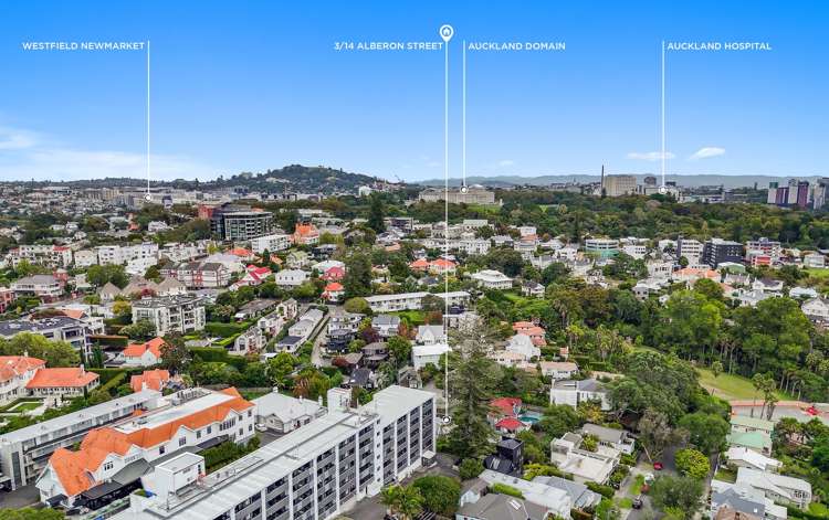 3/14 Alberon Street Parnell_29