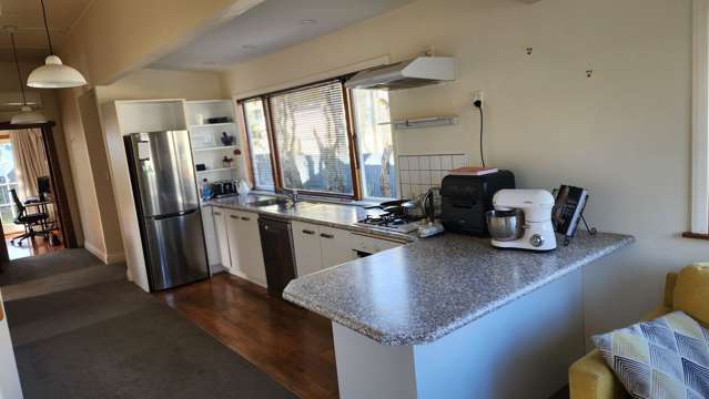 13 Toru Street Lyall Bay_2