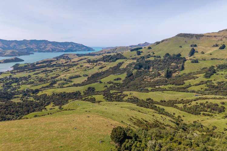 175 Barrys Bay Valley Road Barrys Bay_22