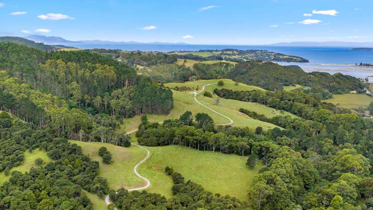 59 Ashton Road & Birdsall Road, Whangateau Leigh_13
