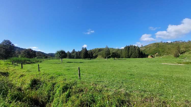 1104 Tapuhi Road Hikurangi Rd2_27