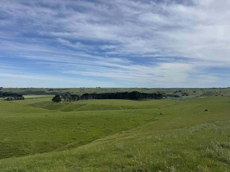 302 Bruce Road Turakina_0