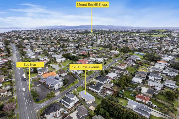 1/3 Currie Avenue Hillsborough_17